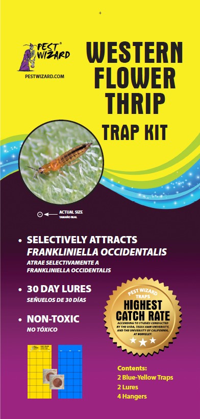Pest Wizard Western Flower Thrips Lure 3-Pack