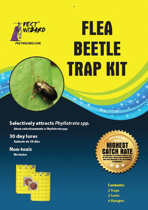 Grow Organic | Pest Wizard Bugs in The Closet? Trap 2-Pack