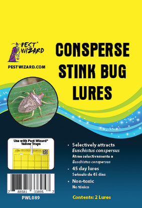 Consperse Stink Bug