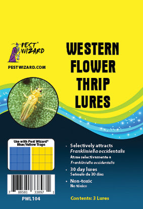 Western Flower Thrips