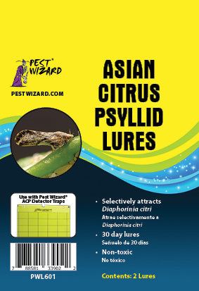 Asian Citrus Psyllid (ACP)