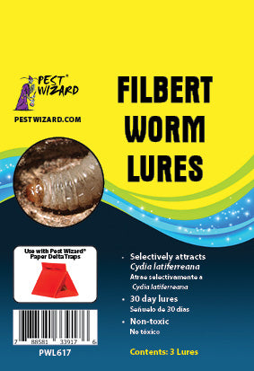 Filbert Worm