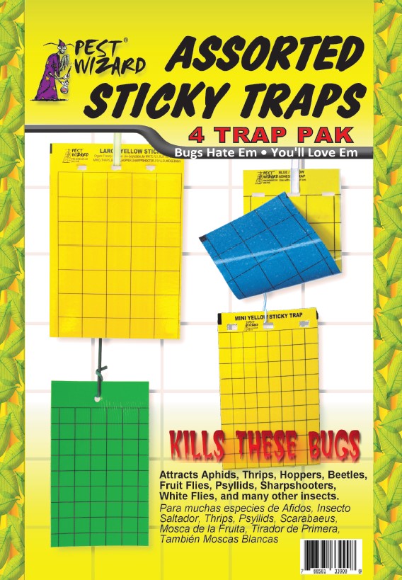 VivaTrap! Clear Sticky Trap (replacement card) at