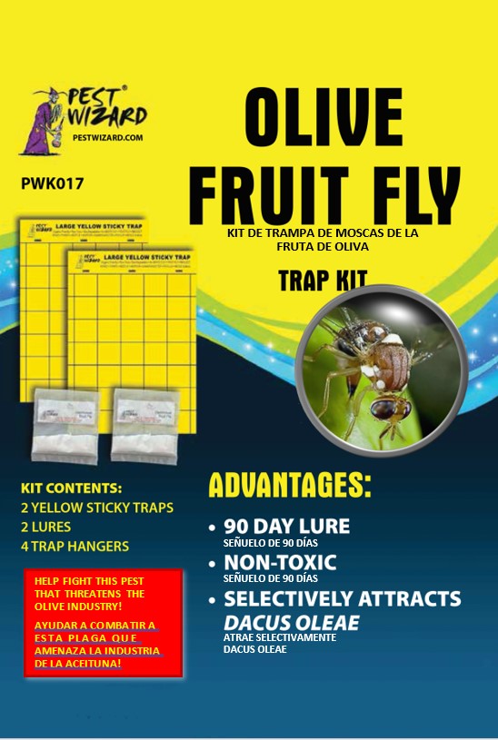 Yellow Sticky Fruit Fly Traps (30 Traps) - Pest Aid